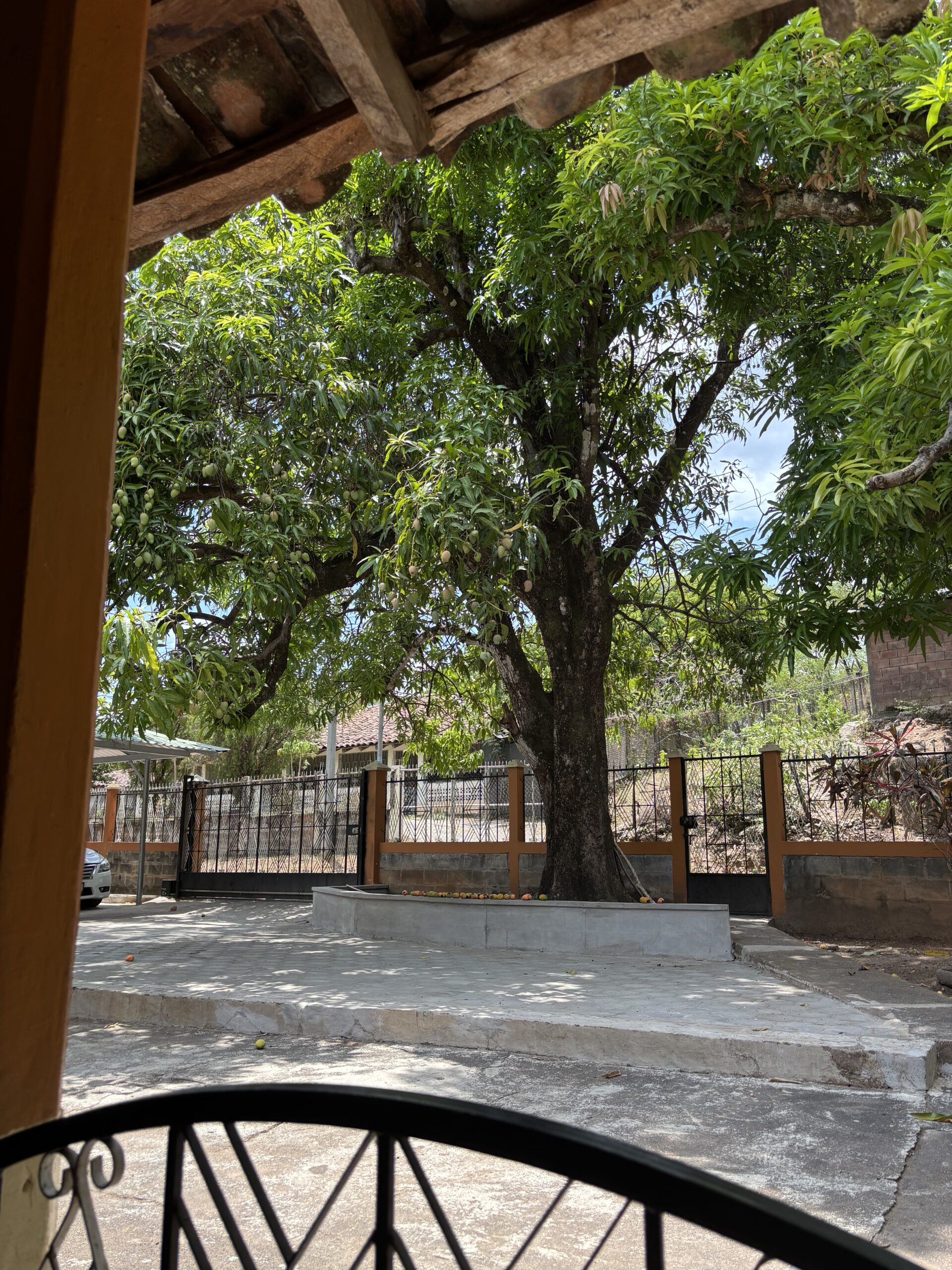 Planning Day | Day 77