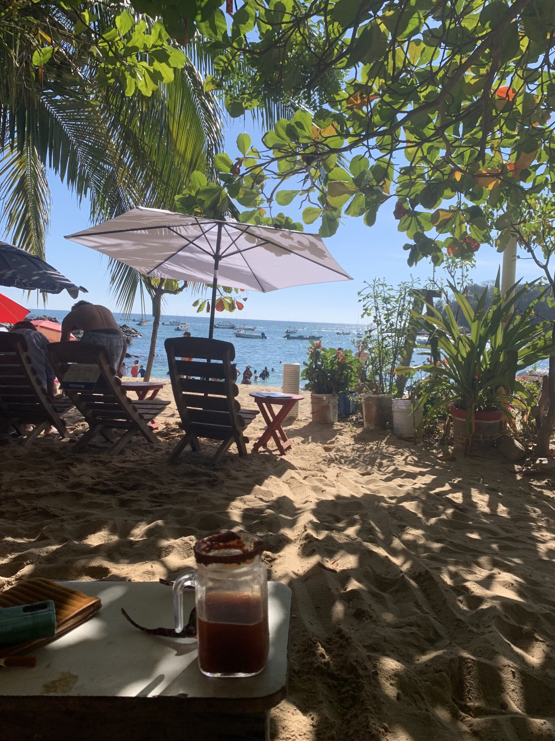 Arriving in Puerto Escondido | Day 16